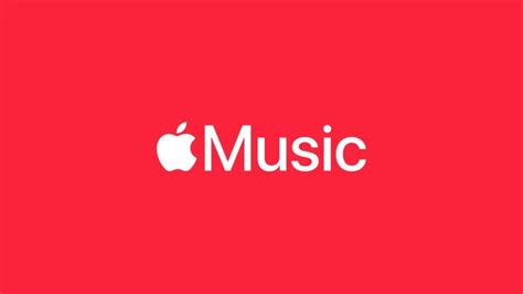 how to see my top artists on apple music and what makes them stand out in the digital music landscape