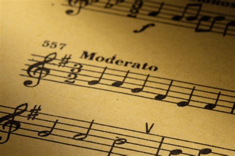 Moderato Music Meaning and Its Many Interpretations